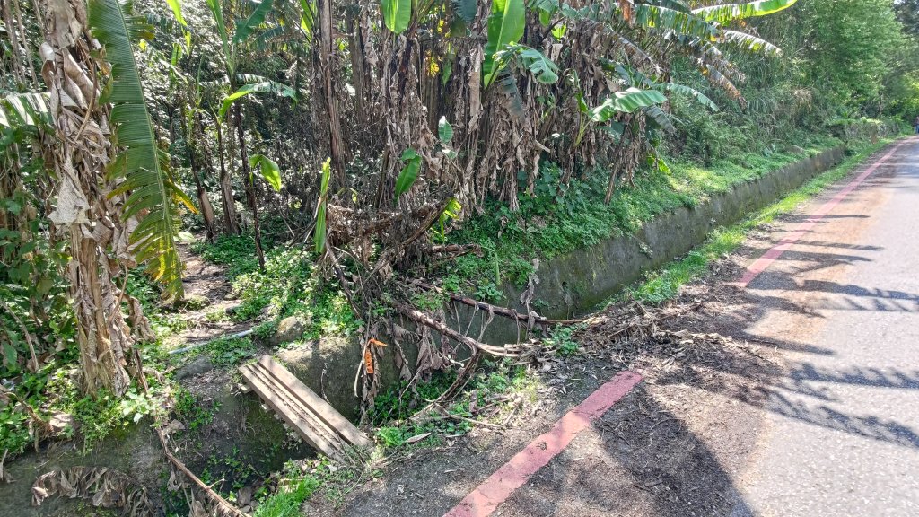 溪頭鳳凰山_2759180