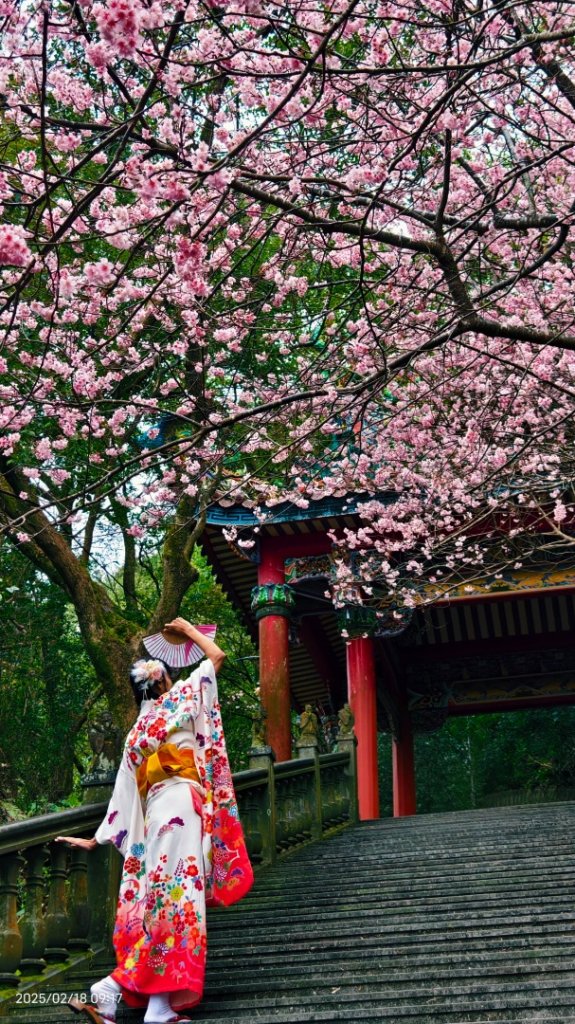 內湖碧山巖 2/18_2715809