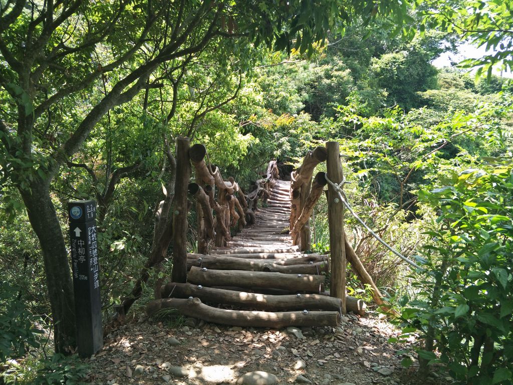 大坑4號步道&頭嵙山_374877