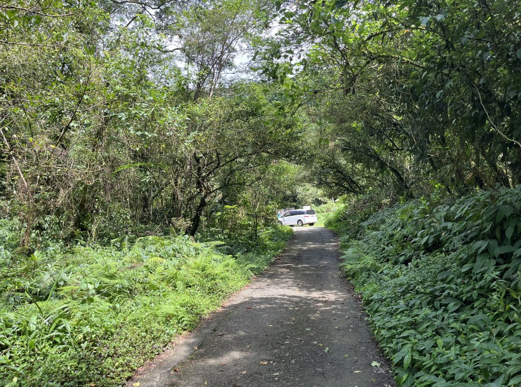 2025_0713 松羅步道_2836690