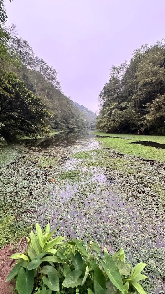 冷埤、粗坑山_2542654