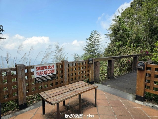 【南投鹿谷】溪頭天文台登山步道_3037366