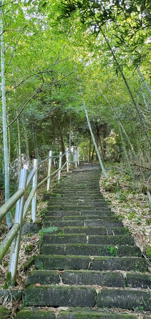 2022-09-25大湖尖山步道_1856575