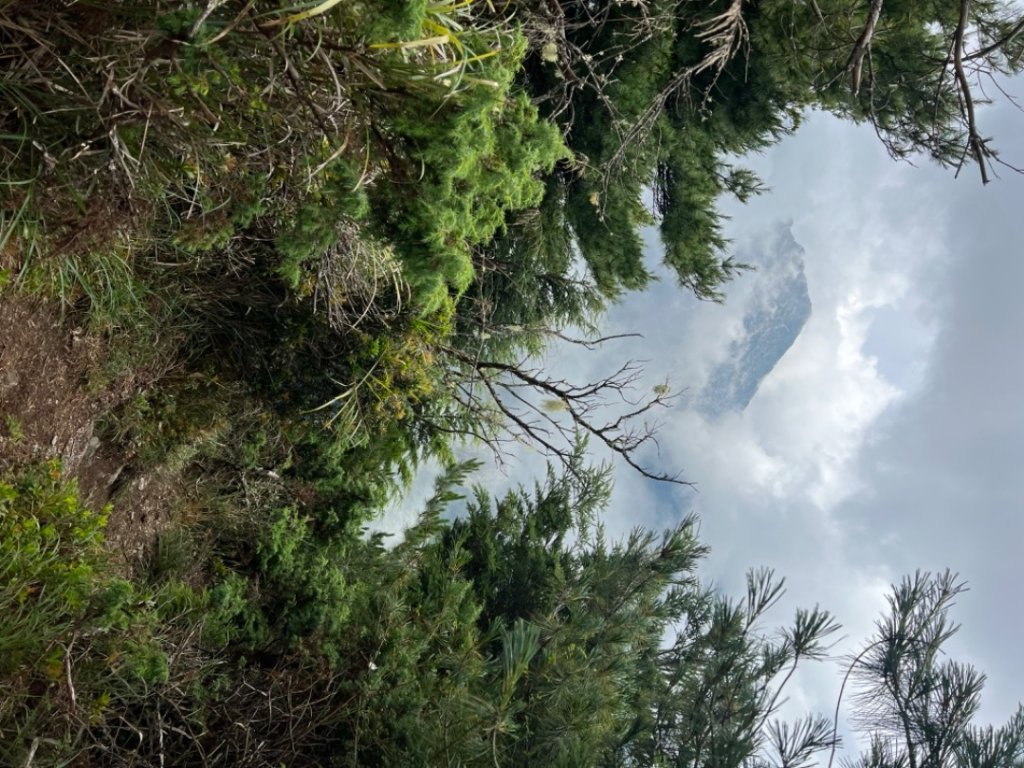 南橫三星_1790698