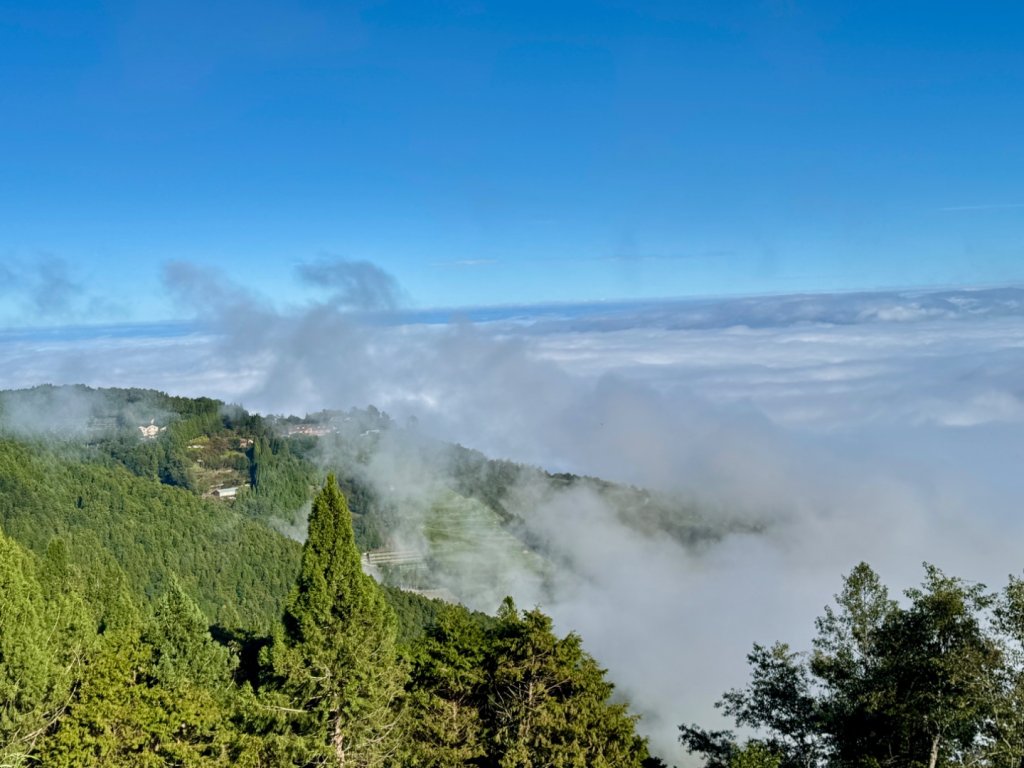 觀霧-榛山步道_2925994