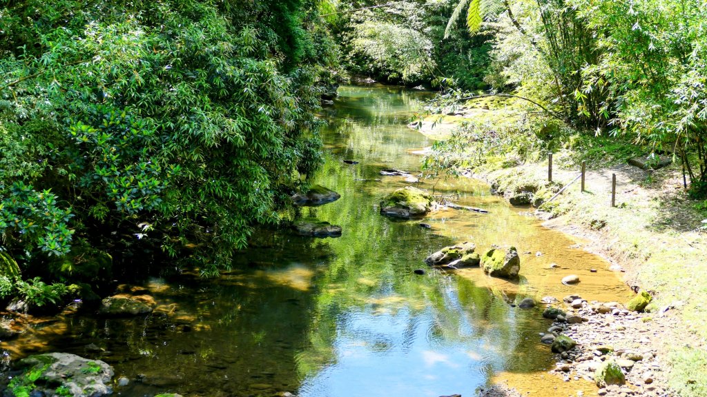 畝畝山。又上說_2768122