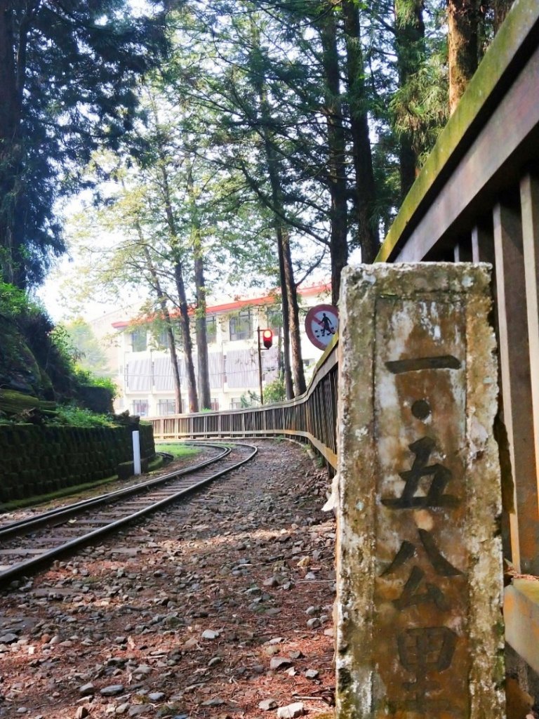 塔山步道阿里山森林鐵路_909593