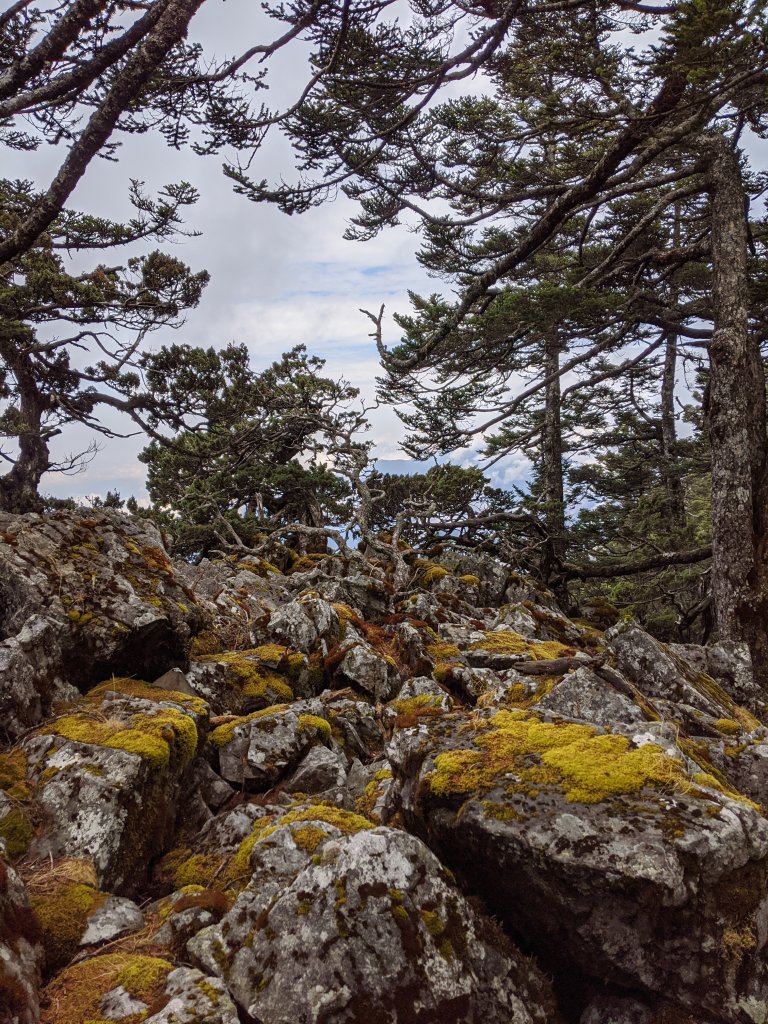 西山神祠 玉山西峰_871136
