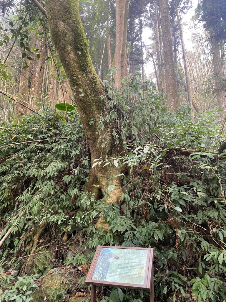 1120329奮瑞古道_2643517