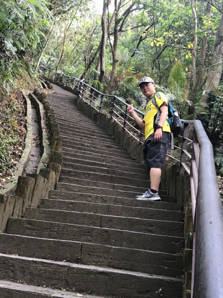 大崙頭山_925358