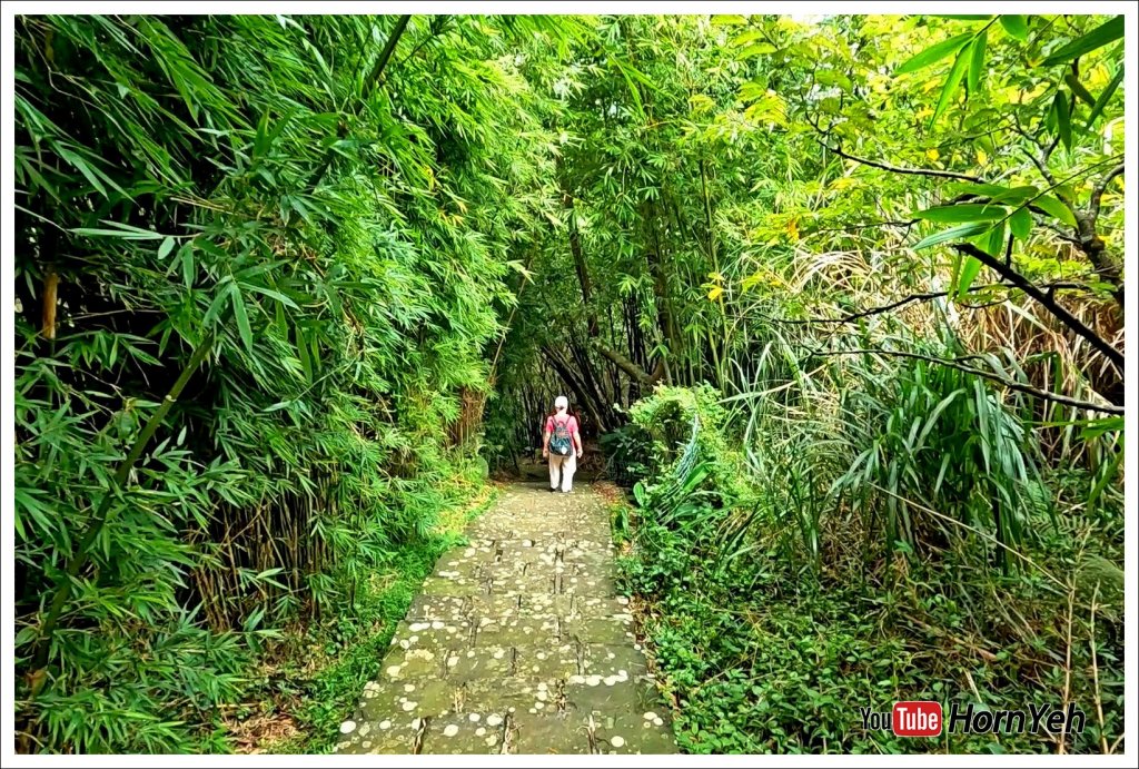 狗殷勤古道_2275346