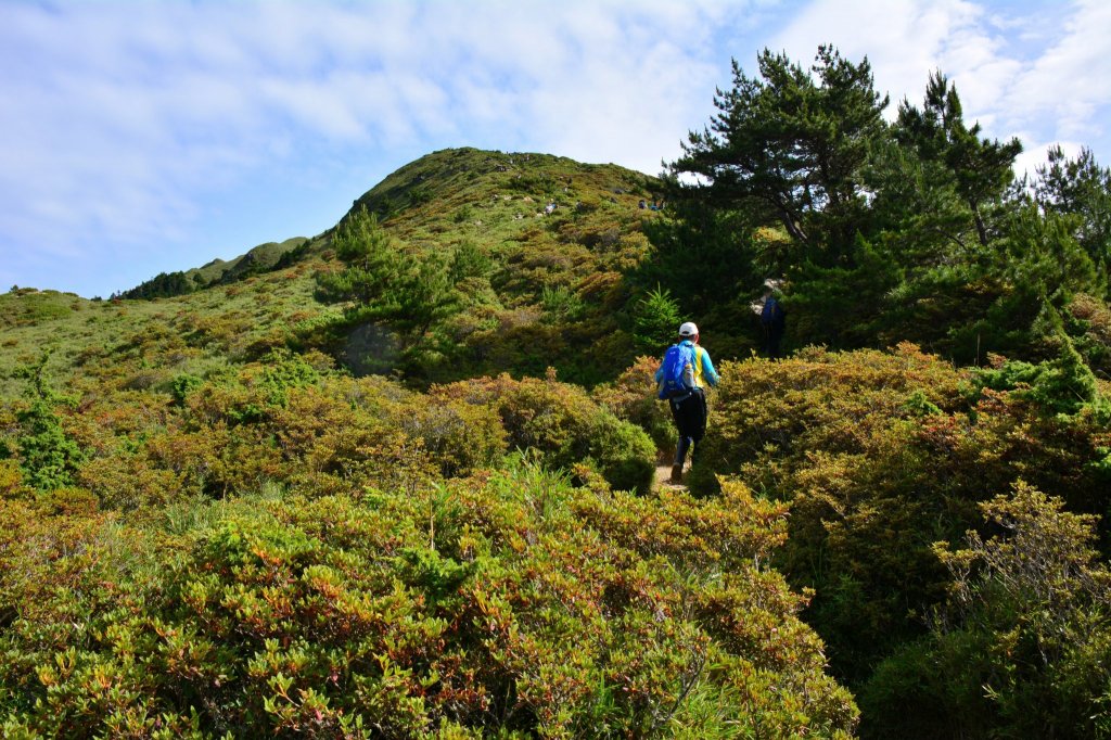 合歡山群峰_1775479