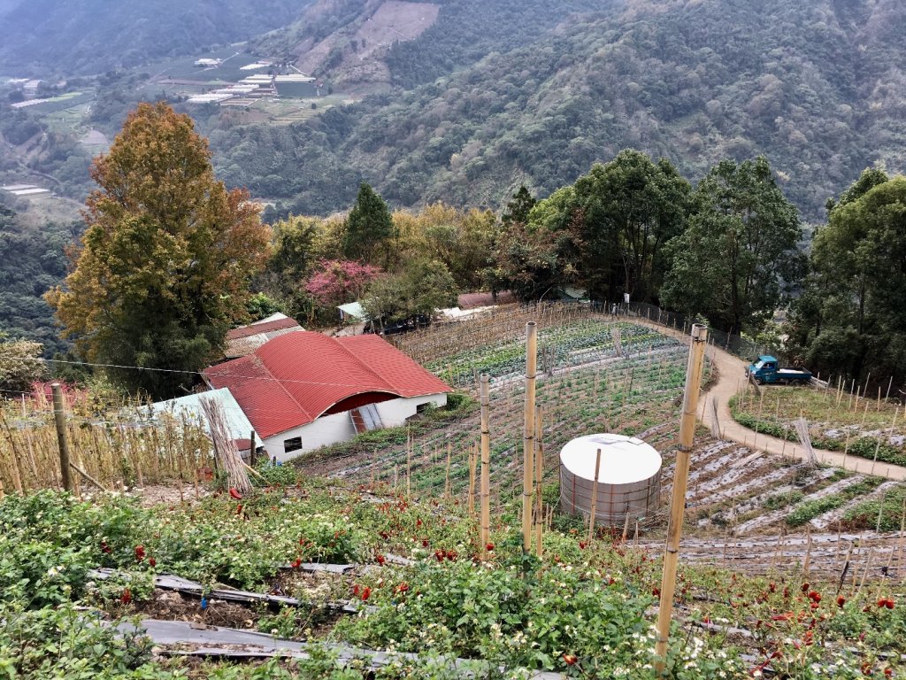 美哉！八通關雲龍瀑布步道_509145