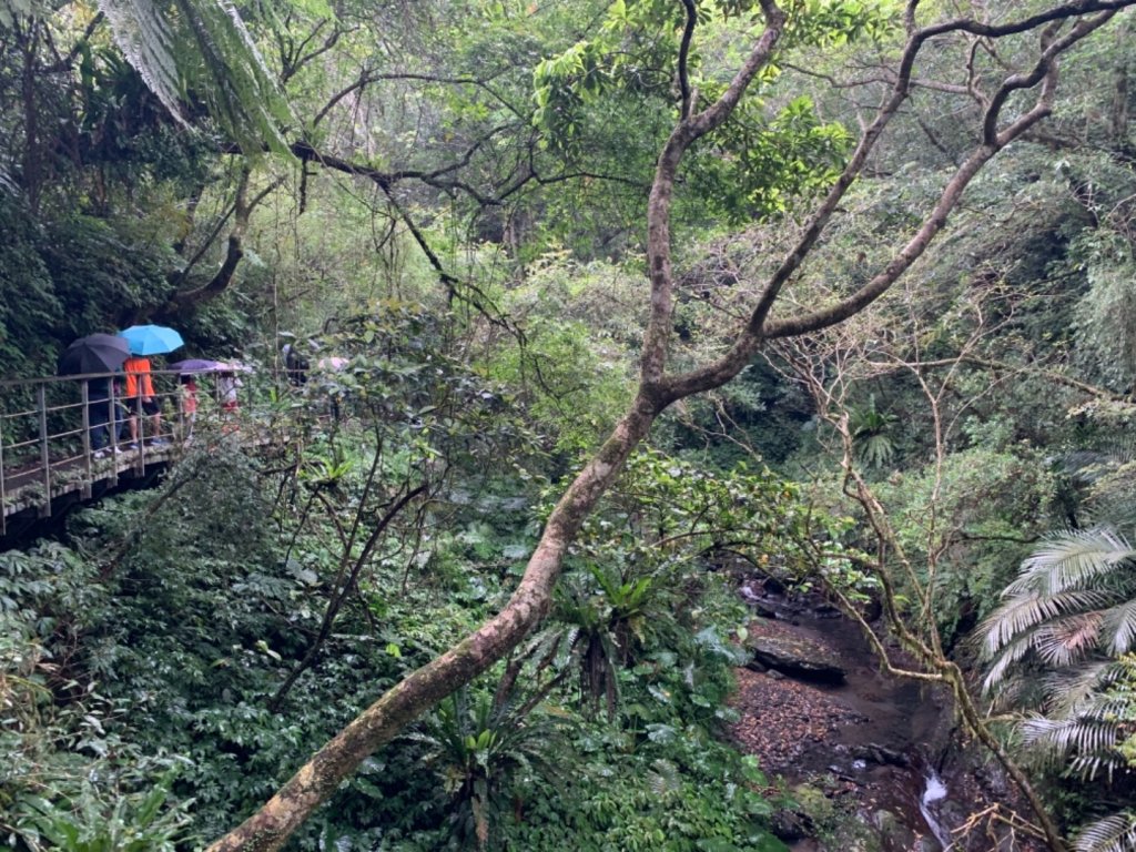 林美石磐步道_566092