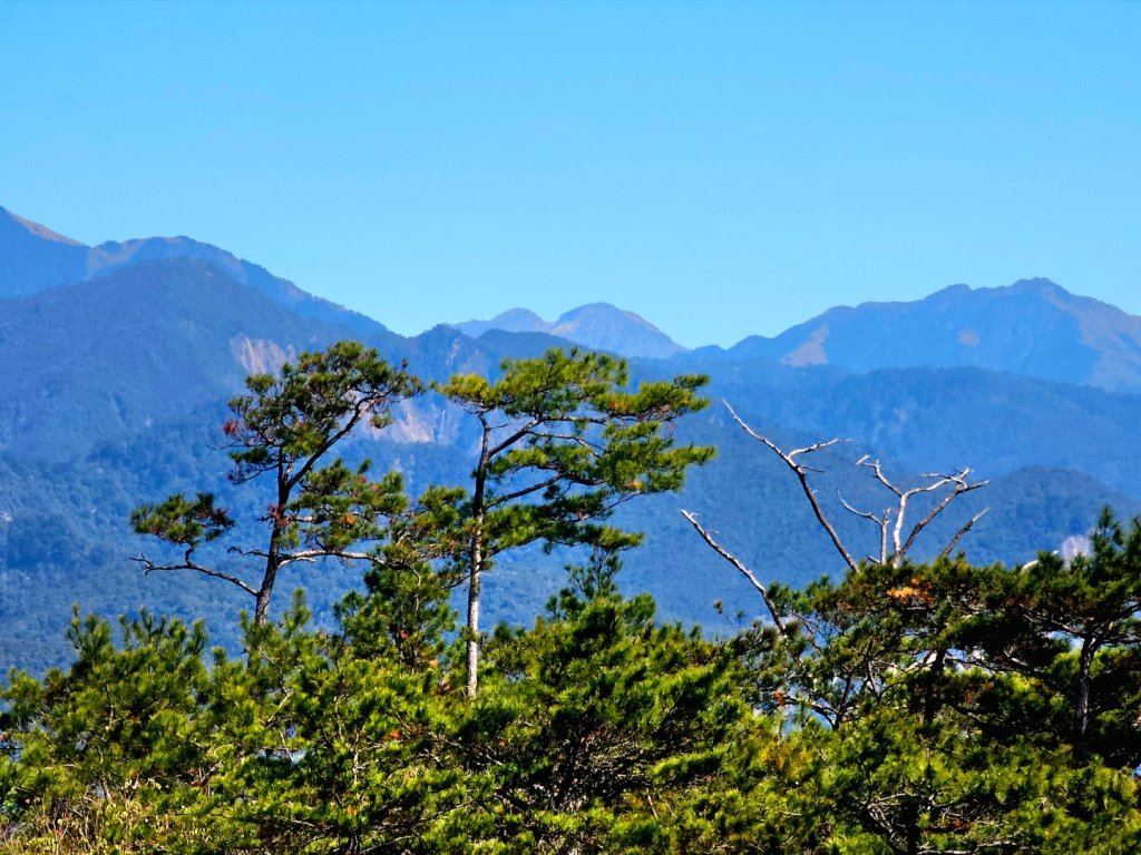 東卯山-谷關七雄(老五)_2991601