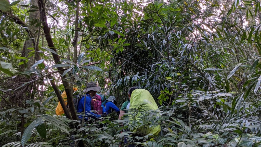 熊空叢穿_1276046