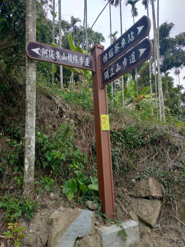 嘉義［阿拔泉山稜線步道］+太平雲梯_2235694