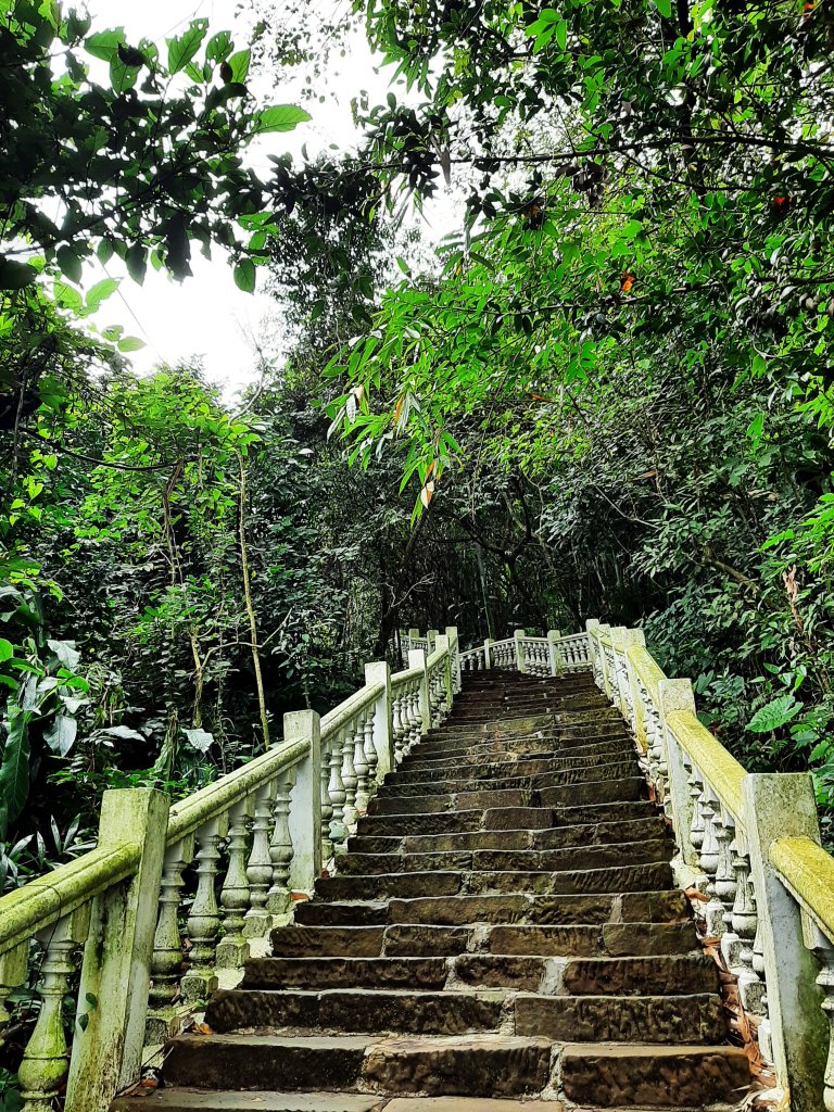 環台步道馬拉松之南勢角山、天上山_1929381