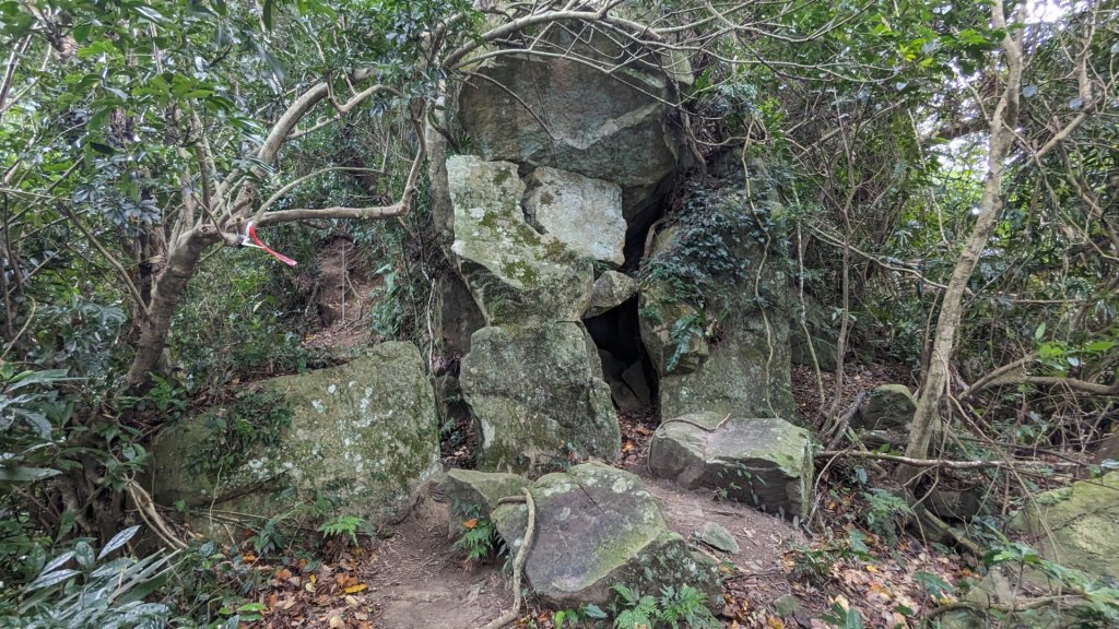 桃園金面山_2380843