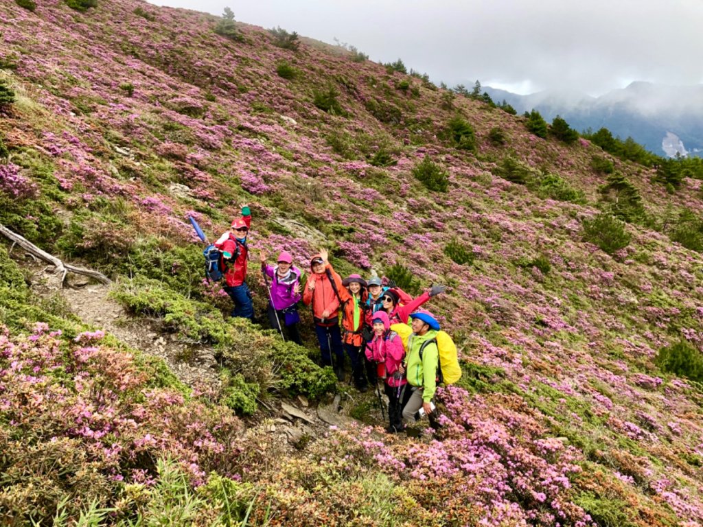 合歡北峰小溪營地下天巒池賞花趣_1733943