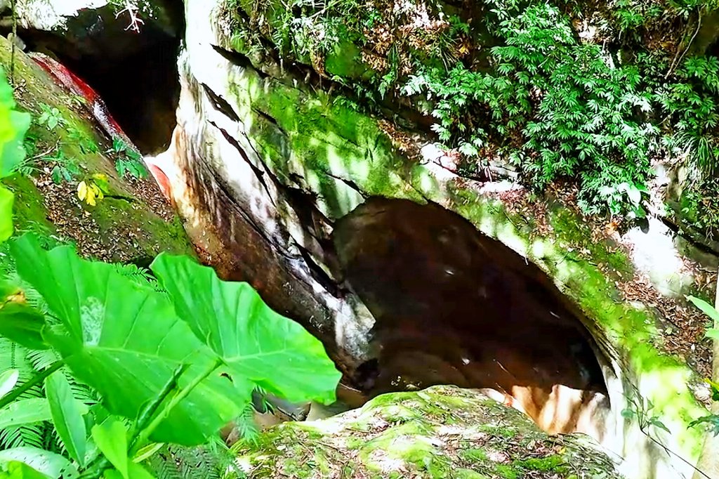 淡蘭古道中路百年山徑~暖東峽谷大環步道_2846395