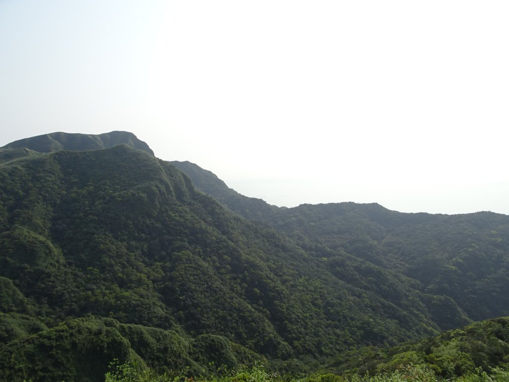 宜蘭小百岳4座~東門及羅東夜市美食之旅_1317597