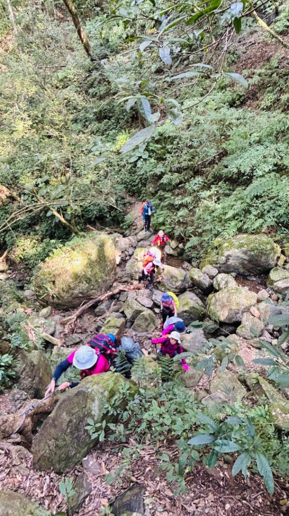 復興赫威神木_2748183