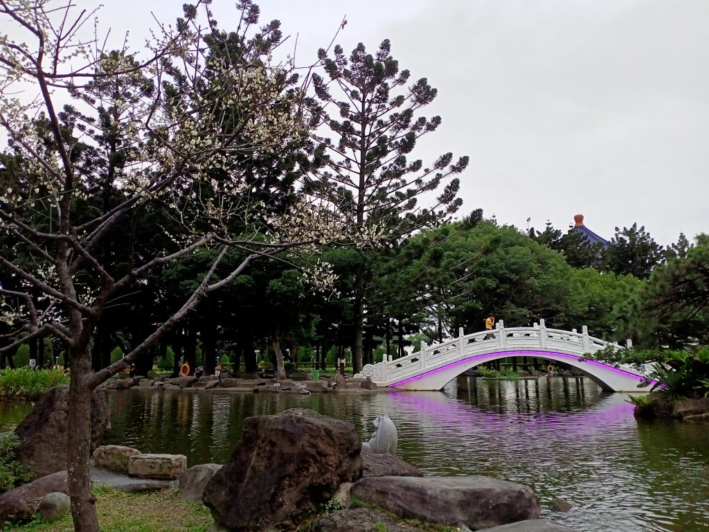 自由廣場、國家戲劇院、國家音樂廳、中正紀念堂、內湖瑞陽公園【齊心鞋力尋寶去】_1995408
