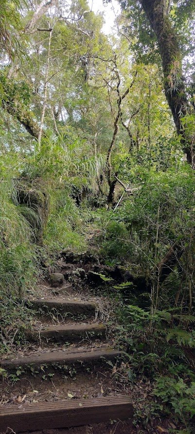 2023 4/9 都蘭山_2107717