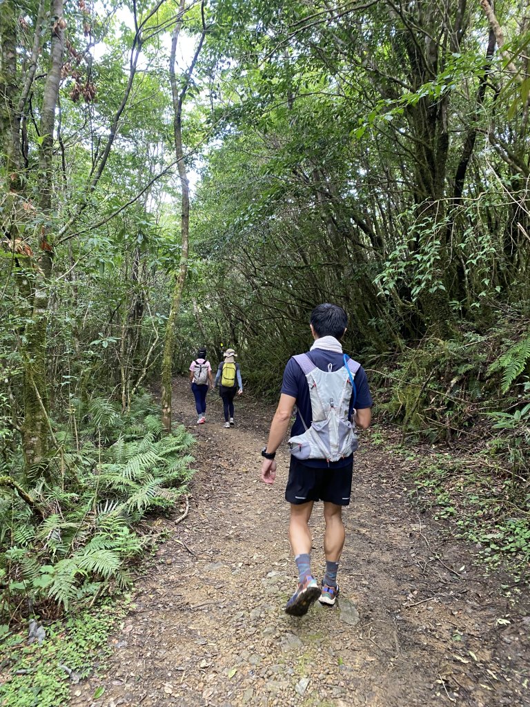 20250713-Ep.10李崠山步道-2025森遊竹縣皮皮獅探險隊_2851981
