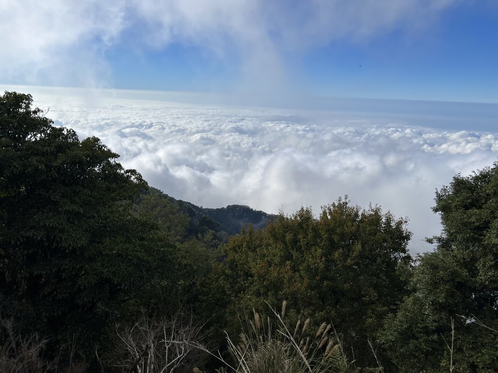 加里山 杜鵑嶺 2054峰 稜線遊玩 看雲海封面圖
