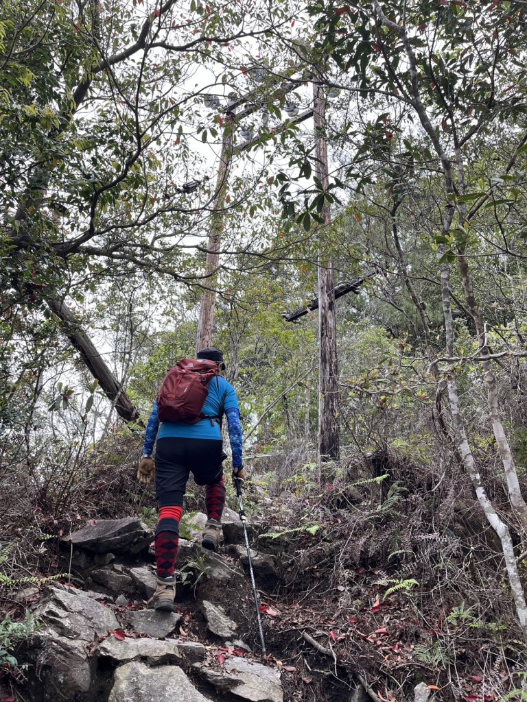 台中 和平 波津加山_2761892