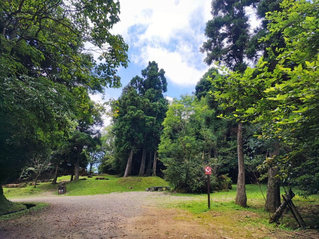 東滿步道/東眼山-小百岳#22-桃園市復興區_2237737