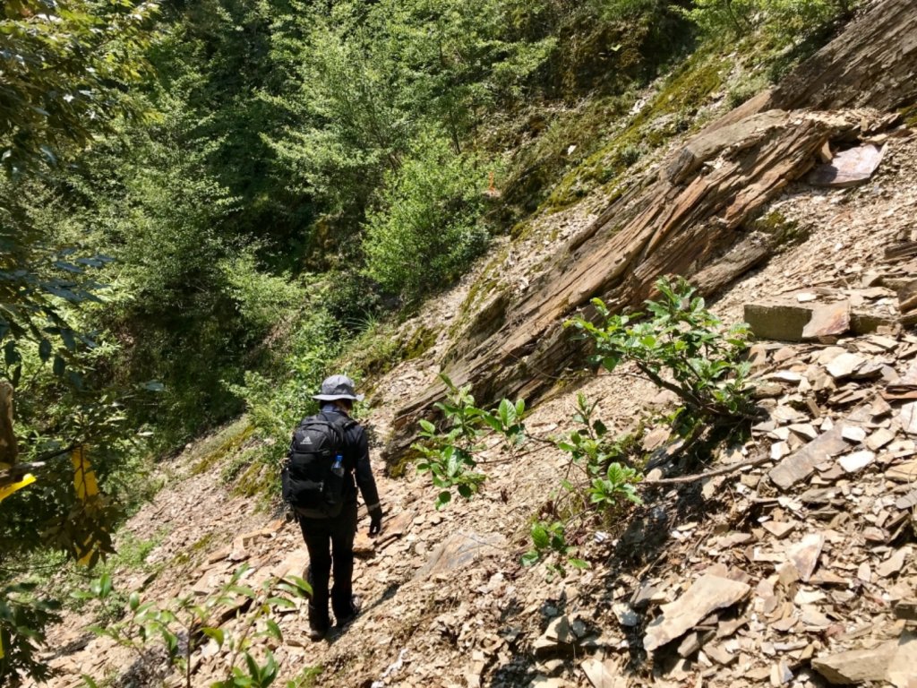 馬海濮富士山健走_572231