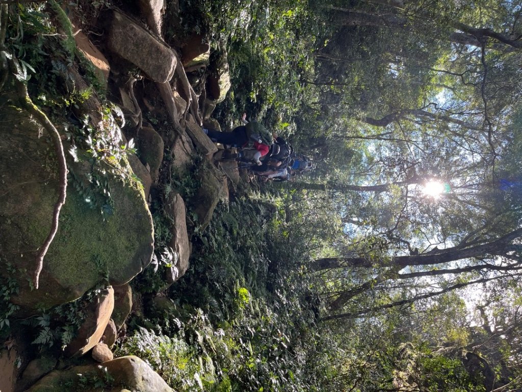 20221112_北得拉曼山_2762242