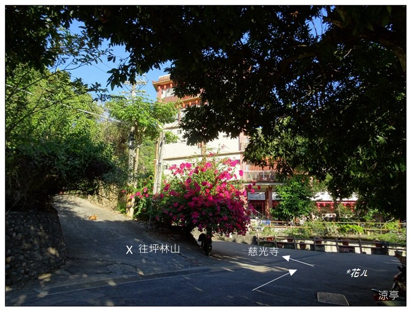 老鼠崎登山步道、觀雲嶺、三汀山_1964031