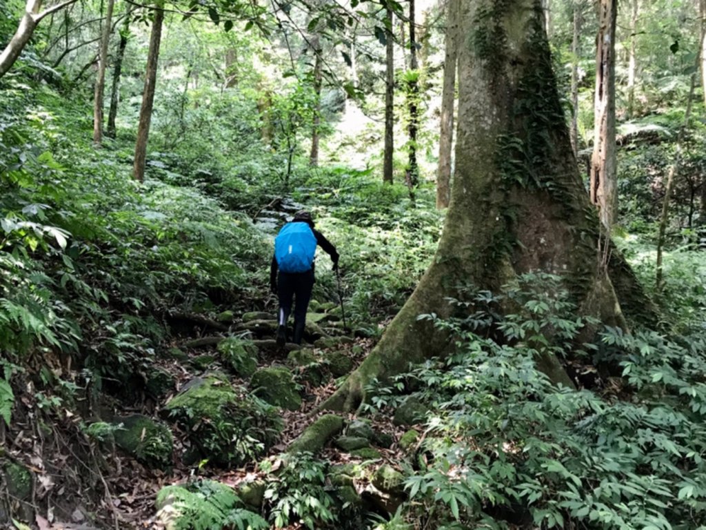 嘎色鬧走那結山_1370934