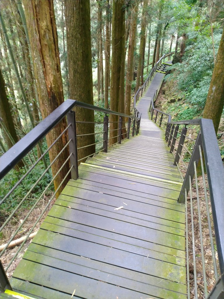 2023-03-04 奮起湖奮起步道_2057743