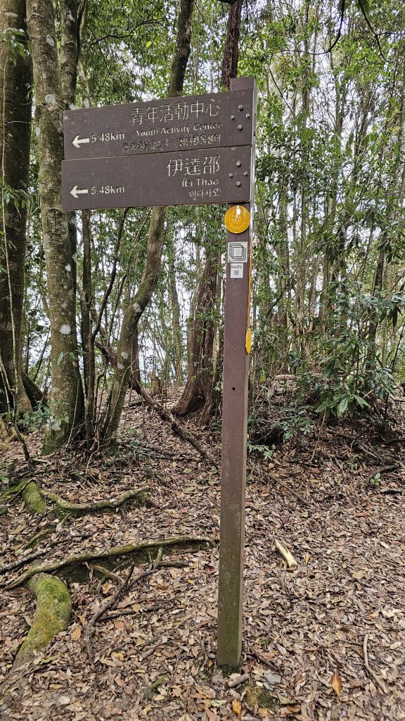 【中級山經典：水社大山、水社主峰】🥾4小時53分的征途，汗水與意志的考驗。_2982582