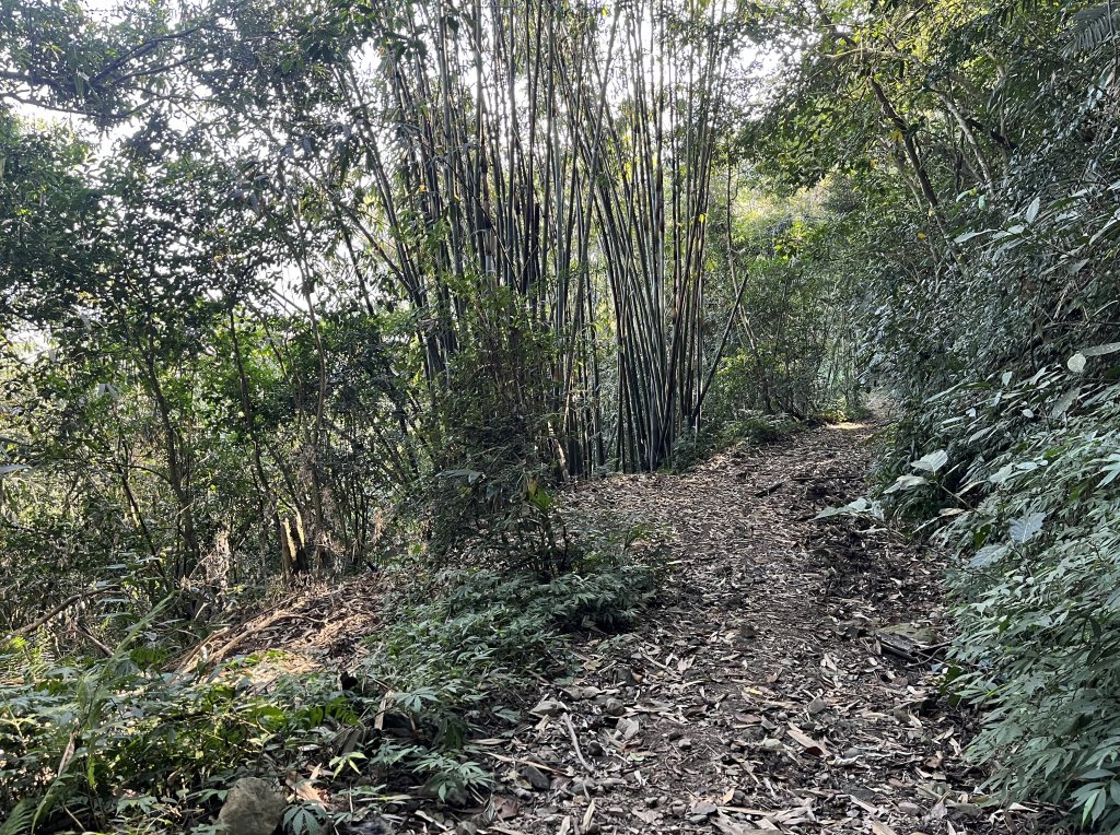 2023_1119 西阿里關山_2353871