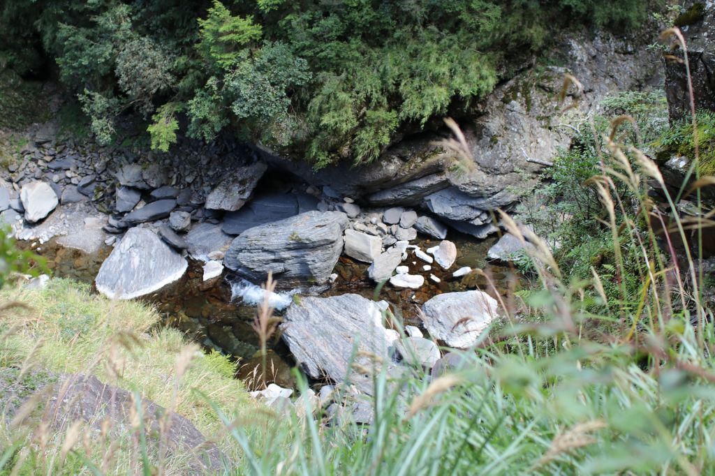 合歡溪步道健行_174508