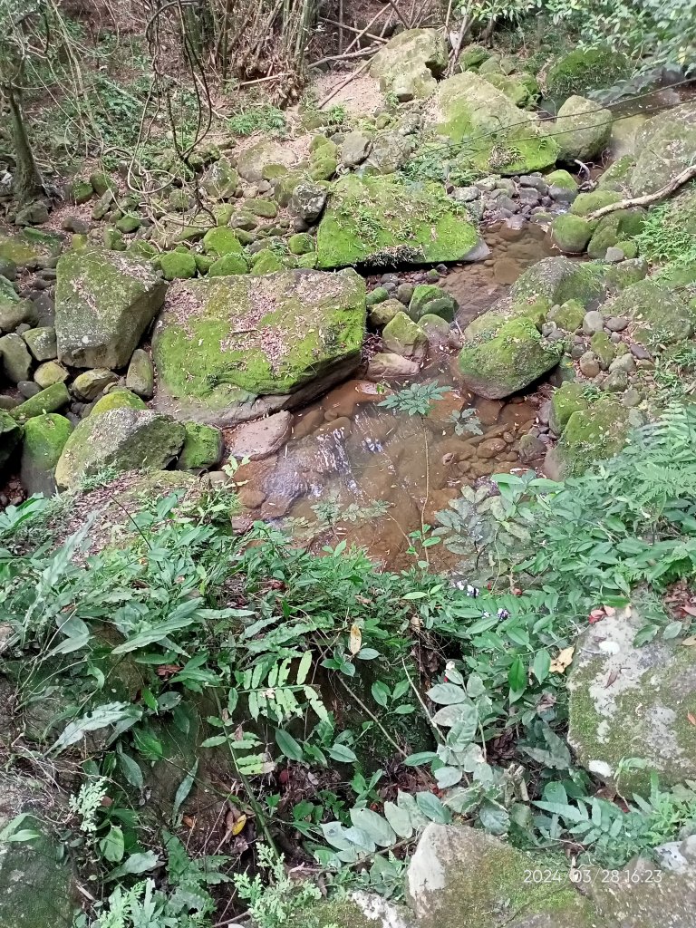 【臺北大縱走4】風櫃嘴→雙溪溝古道→五指山古道→大崙頭山北面步道→許願步道→圓覺寺步道→大溝溪→大湖_2469157