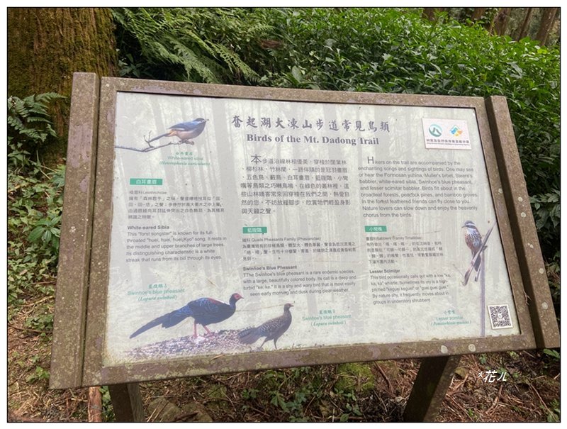 大凍山、頂湖步道 O型ㄧ圈_2984180