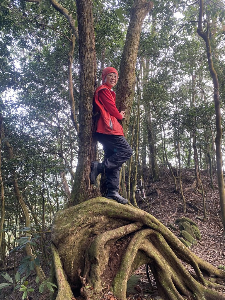 坐公車接駁的神仙縱走_2707388