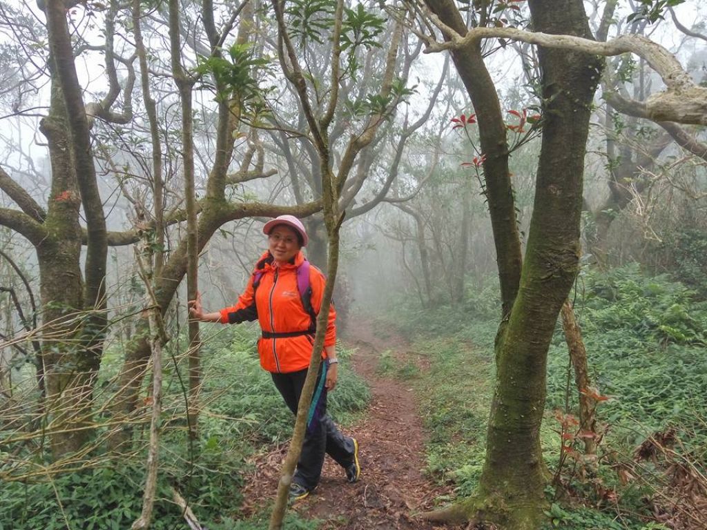 104.11.29陽明山大屯山主峰 南峰 西峰 二子坪 O型連_197700