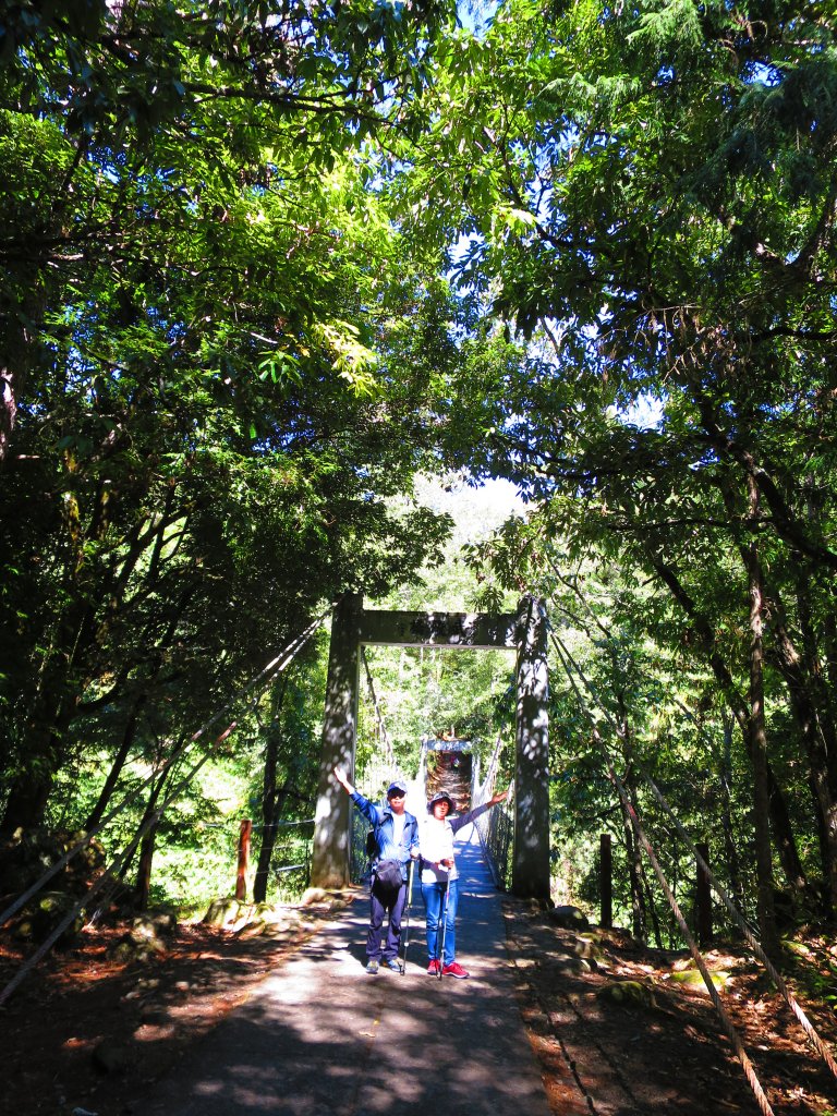 如童話般的森林步道-武陵桃山瀑布步道_1190723
