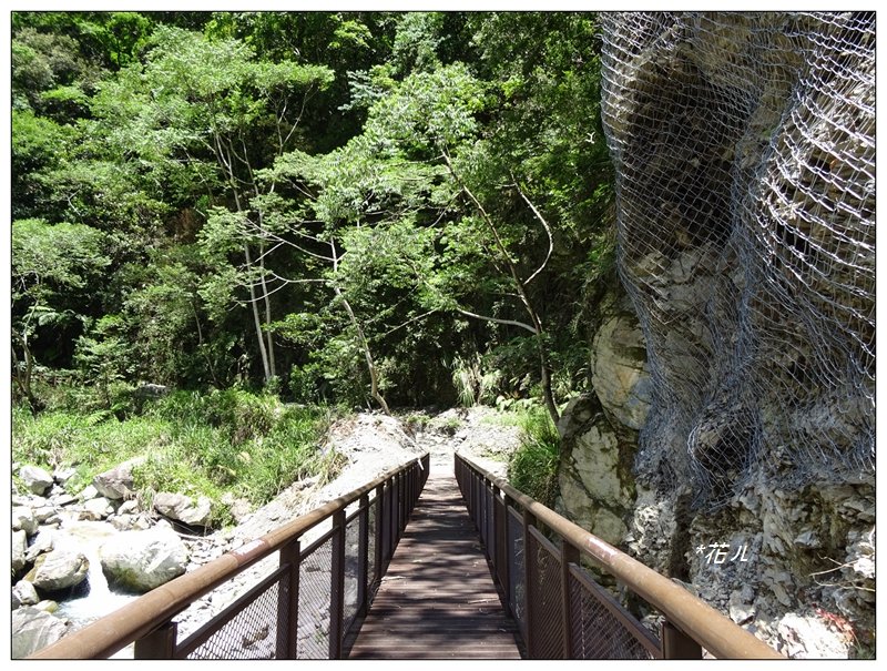 谷關/佳保台山登山步道_999790