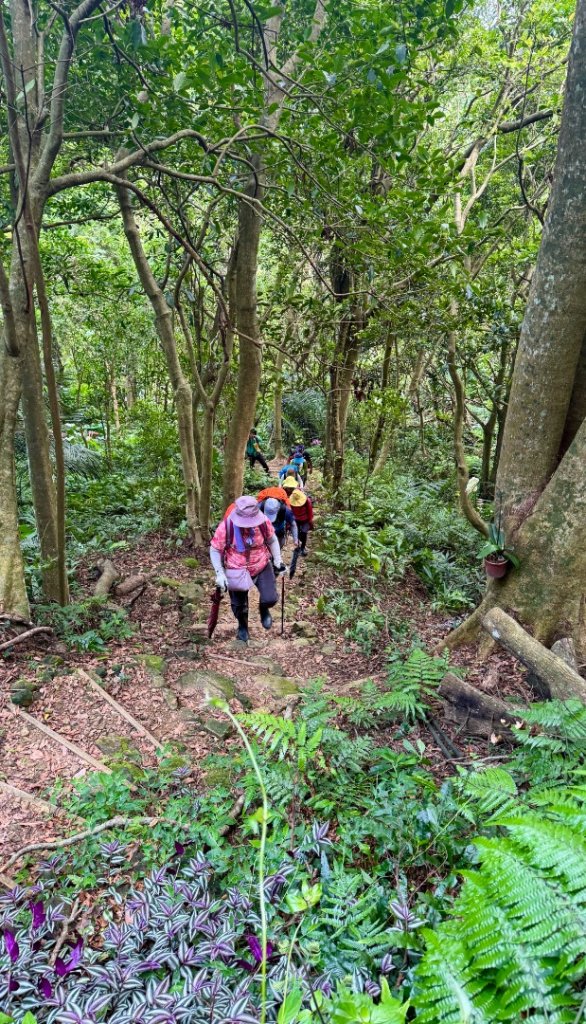 大艽芎古道縱走 新/溪州山(小百岳#23) 出溪州公園_2893947