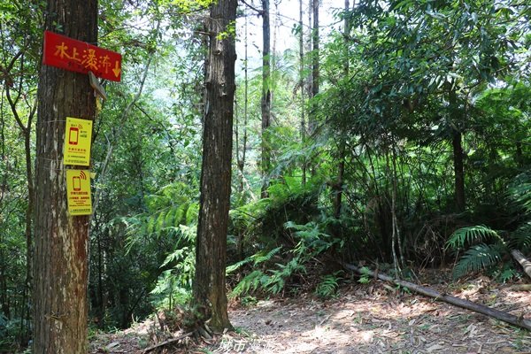 【南投。魚池】山林秘境之美景包場。澀水水上瀑布_1428428