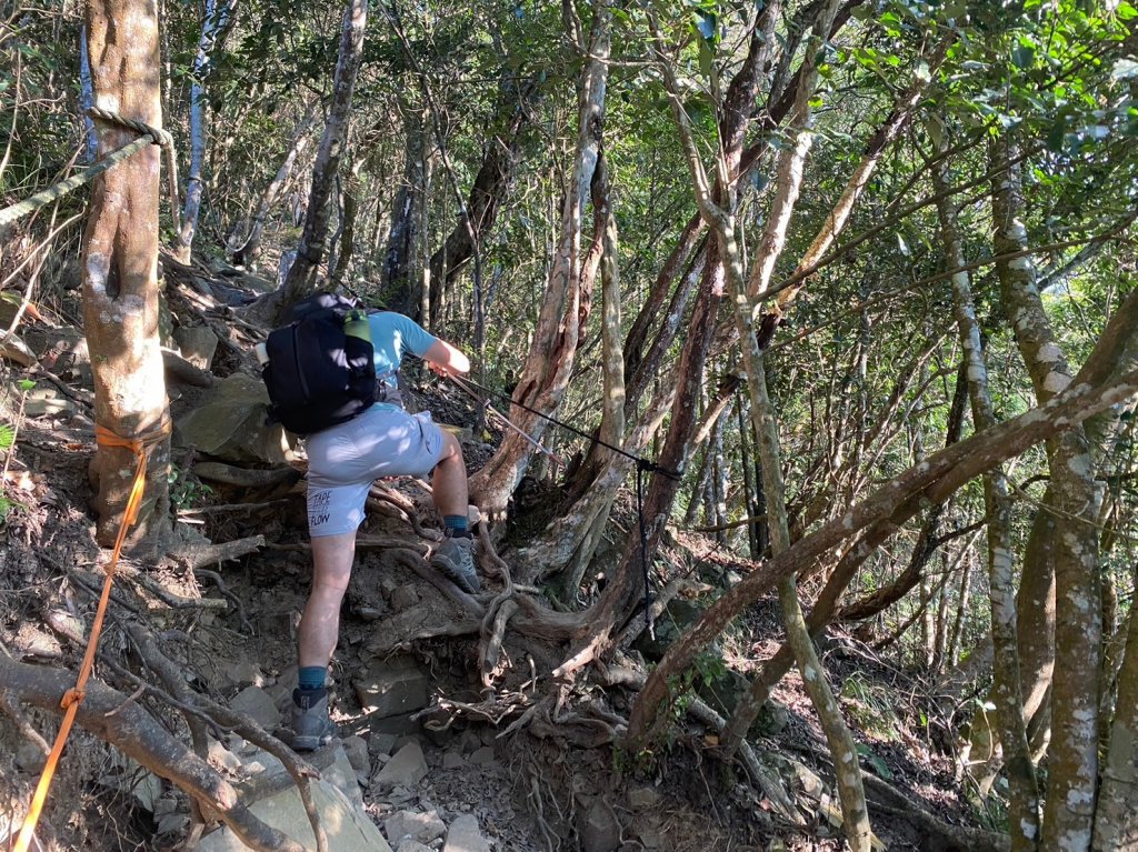 八仙山.東松鶴山【拚老命完成一年一雄的夢想】_2357769